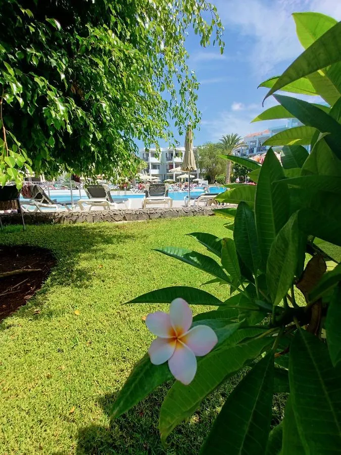 Private Apartment 150 Hg Tenerife Sur Los Cristianos