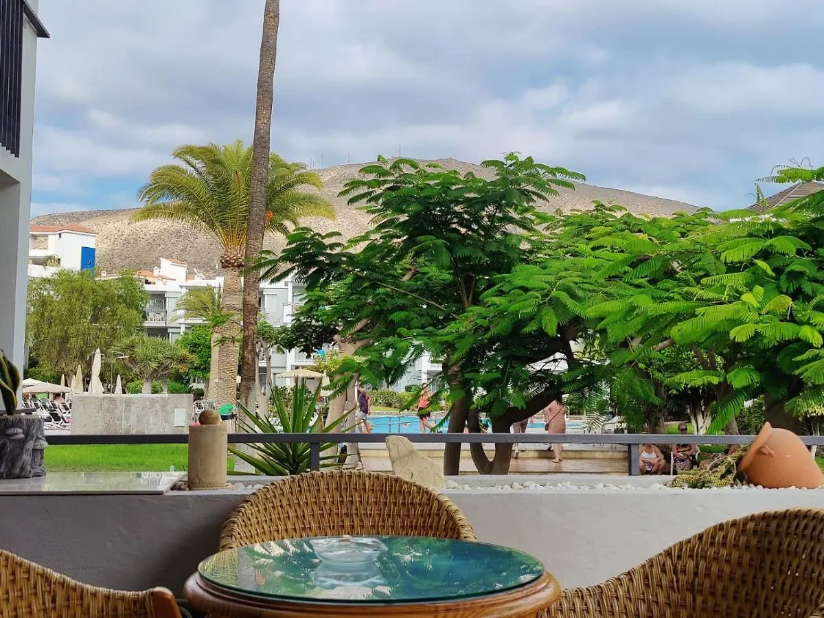 Private Apartment 150 Hg Tenerife Sur Los Cristianos  Spain